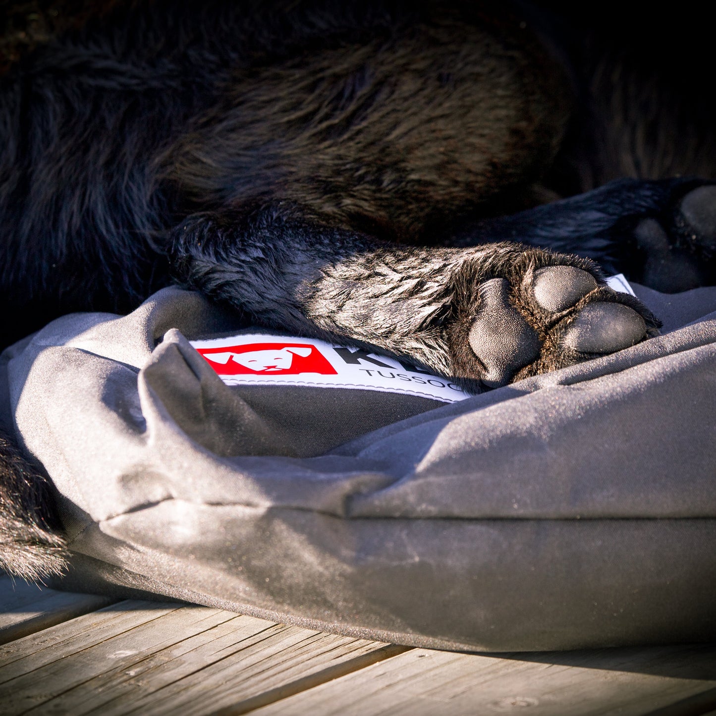 Large dog using Tussock Dog Bed outdoors with muddy paws, made for all dogs to be used outdoors 