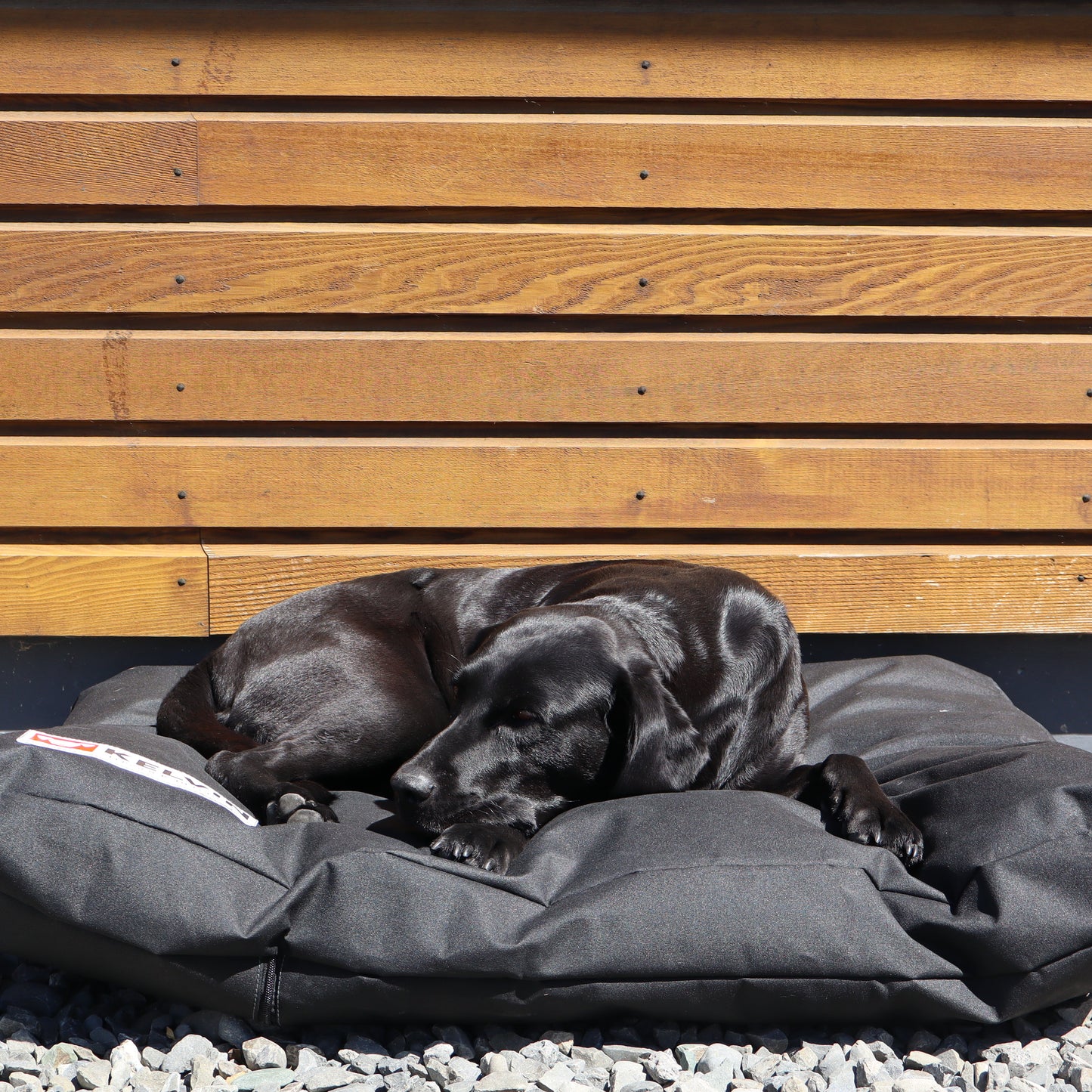 Large Labrador dog sleeping on Tussock Dog bed outdoors