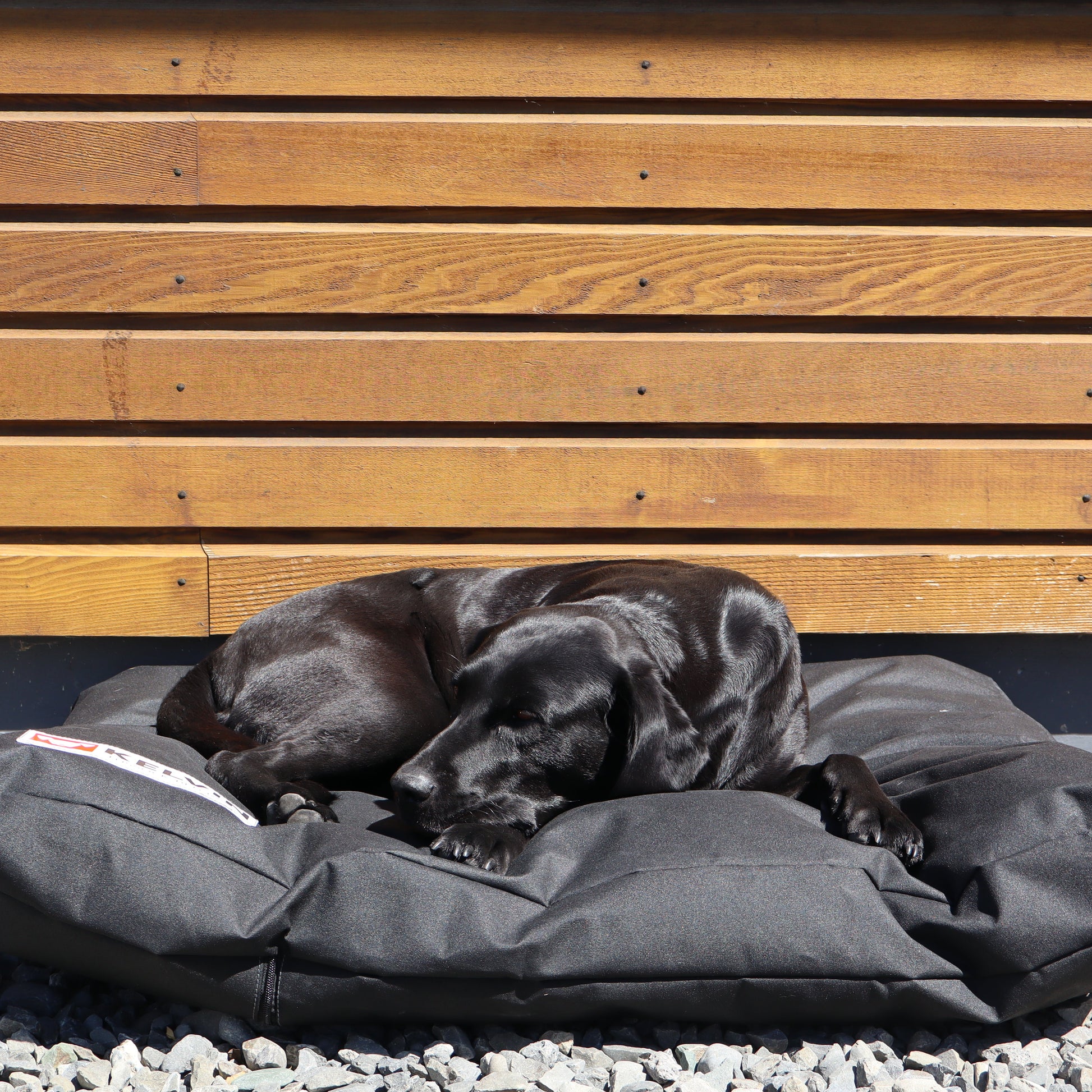 Large Labrador dog sleeping on Tussock Dog bed outdoors