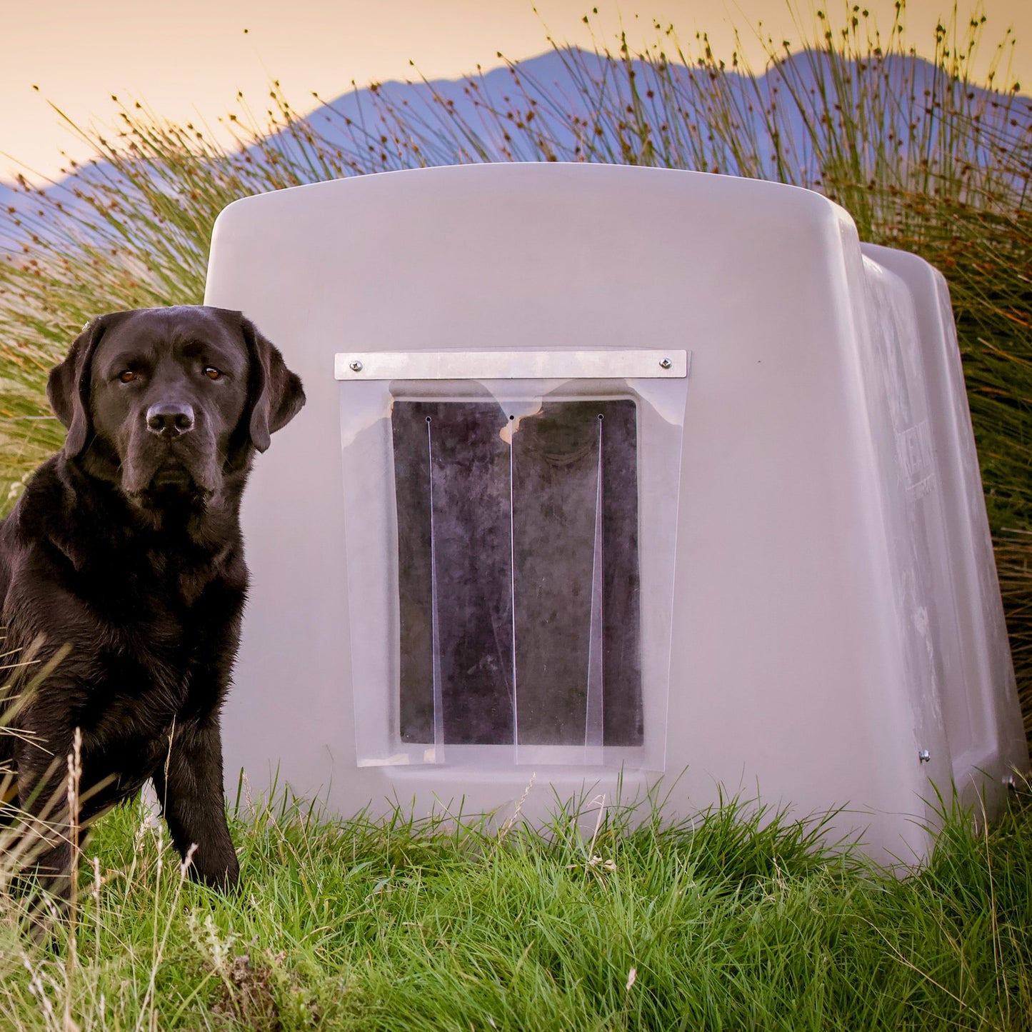Thermokennel with door flaps using durable premium weatherproof materials beside large dog for small dogs and large dogs 