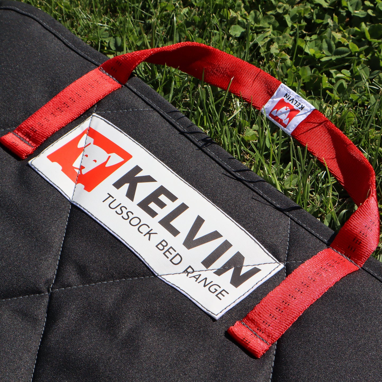 Tussock Dog Mat premium handmade in NZ with new Zealand wool filling and durable weatherproof canvas
