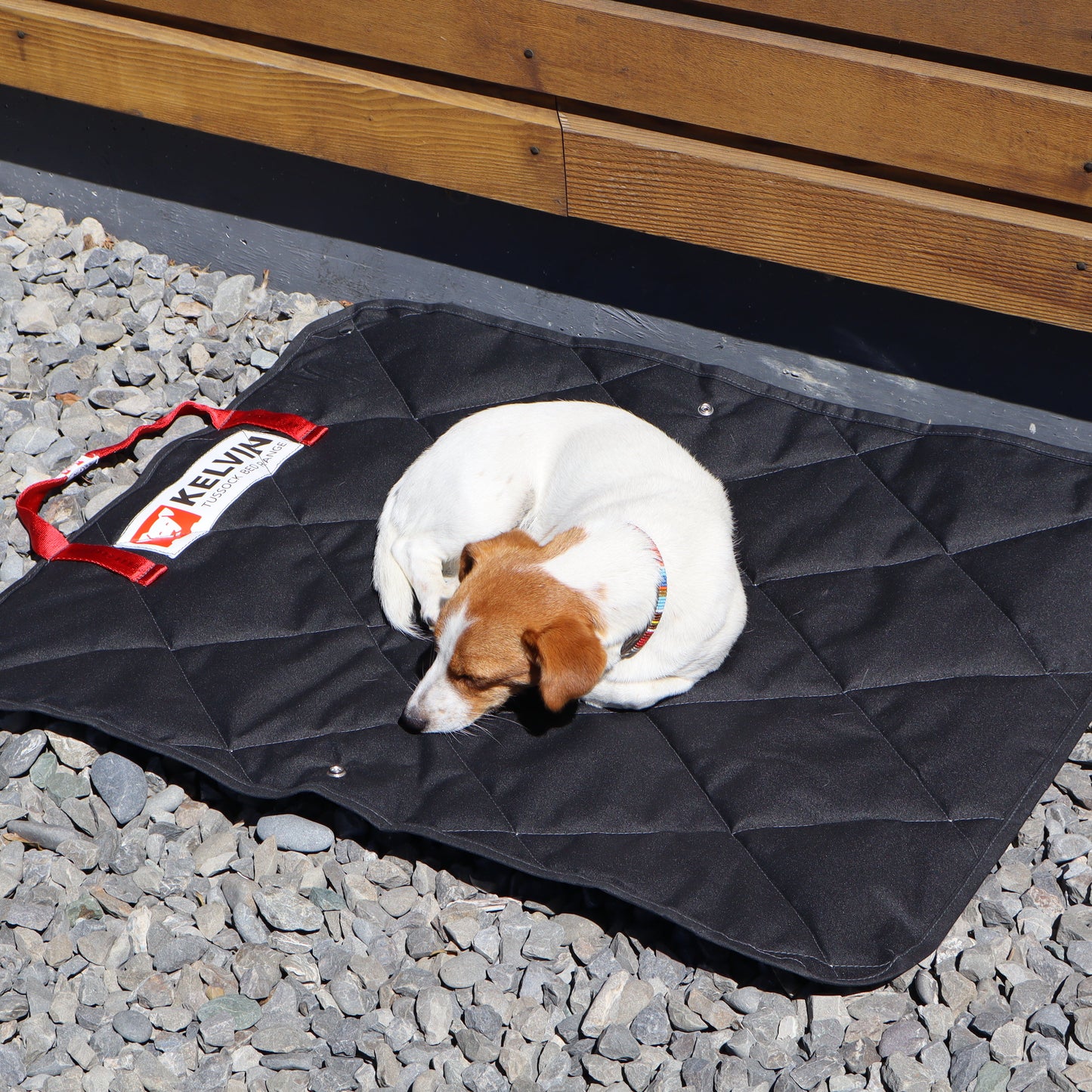 Tussock Dog Mat made for every dog, outdoor and indoor use, on the go or in kennel