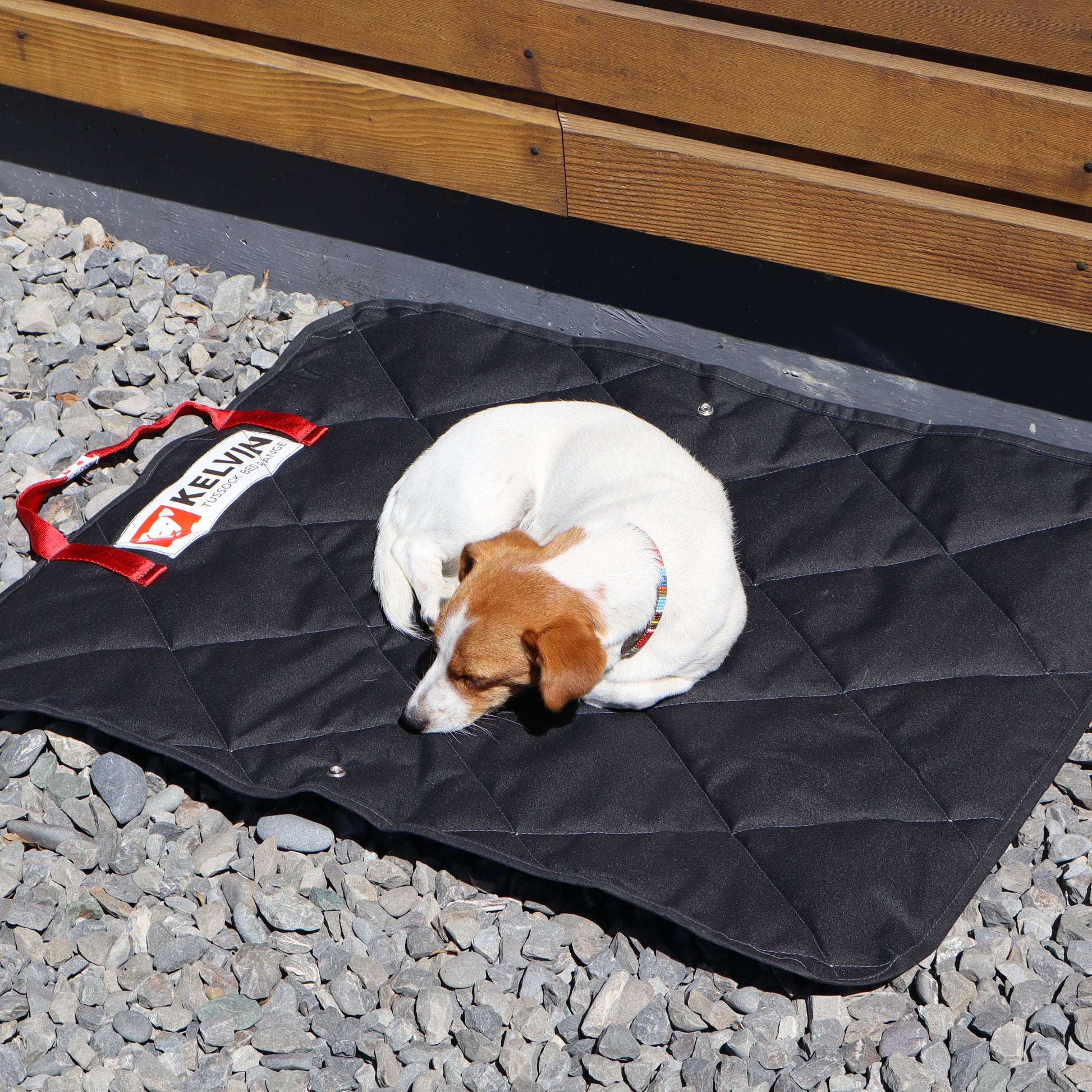 Tussock Dog Mat made for every dog, outdoor and indoor use, on the go or in kennel